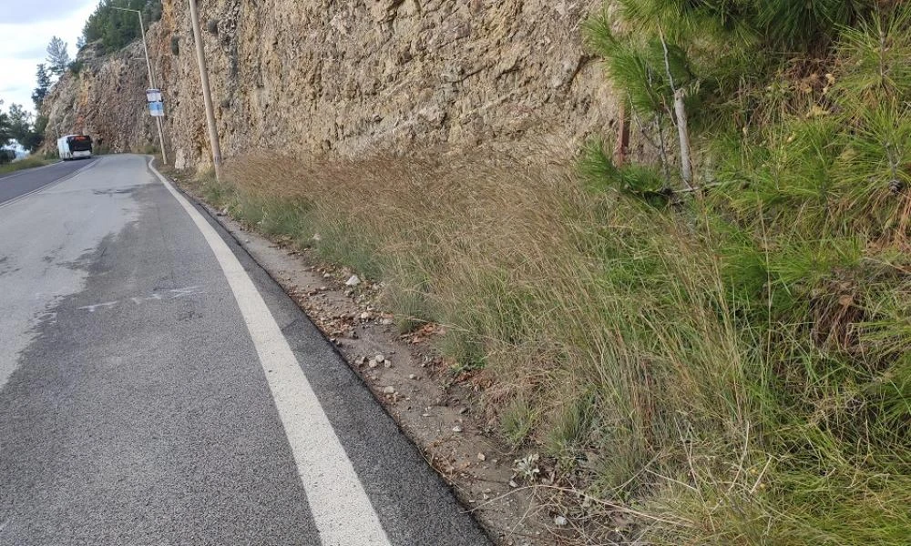 Βόλος: «Δεν ήταν καλός πατέρας, δεν βίασε καμία ο αδερφός μου»- Τι υποστηρίζει η σύζυγος του δράστη (Βίντεο)